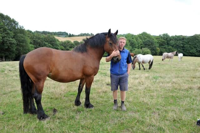 Richard Sampson, owner of Parklands Equestrian Centre, Worksop Rd, Aston, Sheffield which faces demolition under the planned HS2 route.  Picture Tony Johnson.