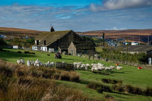 Jill Thorp's home, Stott Hall Farm in between the lanes of the M62. Picture by James Hardisty.