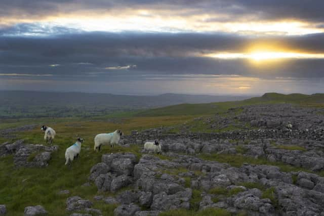 Rural Yorkshire is under threat