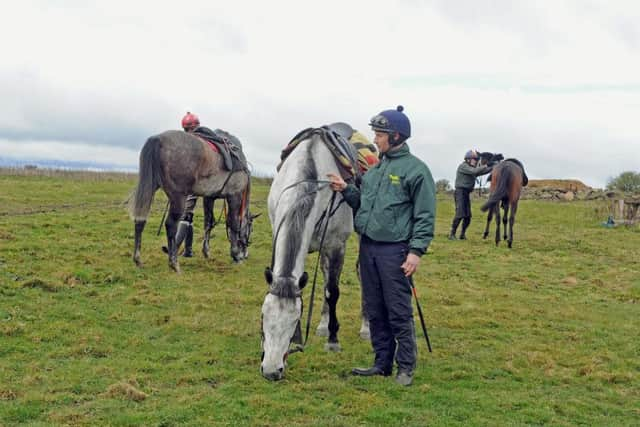 Vintage Clouds and Danny Coomk on Sue and Harvey Smith's gallops.