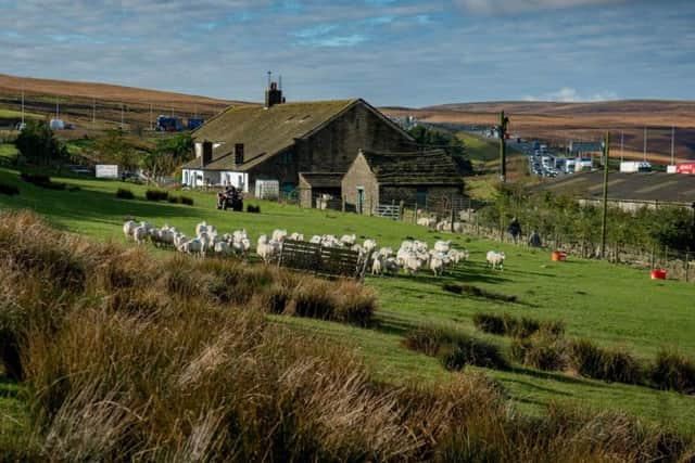 Stott Hall Farm. Picture by James Hardisty.