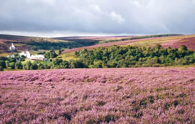 Glorious Game A photograph of the English countryside including rugged landscape and the hilly undulations which form part of the North York Moors National Park. A steam train makes its way through the rugged landscape of the North York Moors on its way from Goathland to Pickering in Yorkshire. Picture Daniel Rao Getty Images/iStockphoto