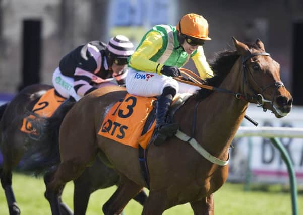 Sue Smith's Midnight Shadow won the 2018 Scottish Champion Hurdle at Ayr under Danny Cook.