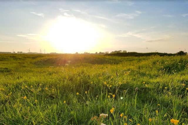 The greenfield site at Hedon - home to endangered curlews