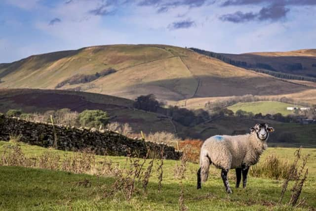 A stock image of the countryside near Hawes in Wensleydale.