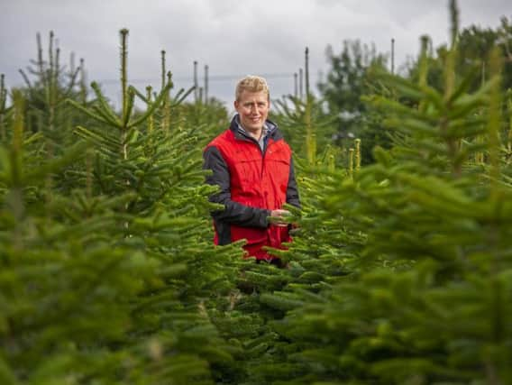 George Grant, estate manager at Stockeld Park. Picture: Tony Johnson