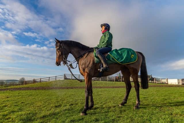 Lady Buttons on the gallops at Phil Kirby's Catterick stables.