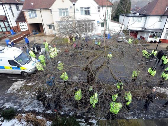 Dozens of police officers were sent out to support felling work on a daily basis during Operation Quito.