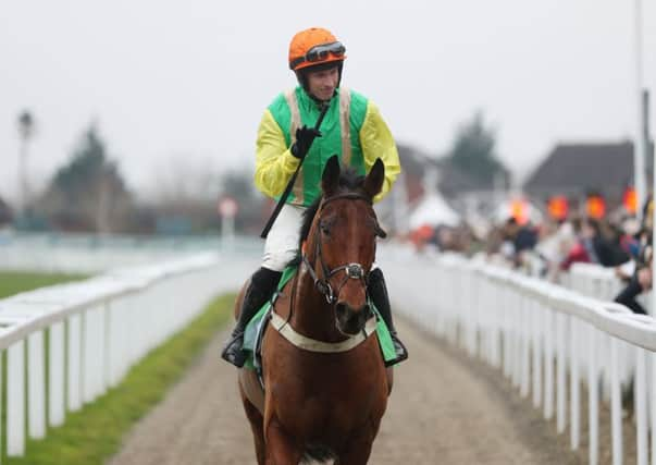 Danny Cook and Midnight Shadow after victory in the Paddy Power Broken Resolutions Already Dipper Novices' Chase at Cheltenham. Picture: David Davies/PA