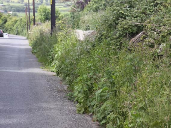 Weeds will be allowed to grow out in Bradford to create a more 'diverse flora' in the area. Credit: John Maddrell