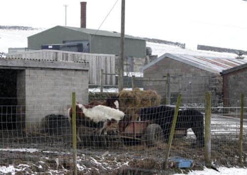 Peter Boddy slaughterhouse in Todmorden, West Yorkshire, one of two British processing plants which were raided and shut down as part of the inquiry into the horsemeat scandal.