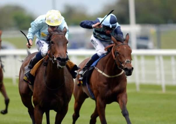 Liber Nauticus ridden by Ryan Moore