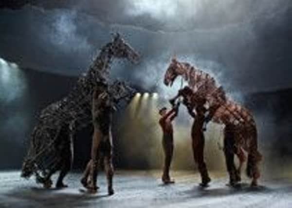 War horse