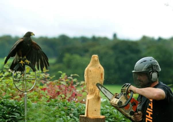 Chainsaw carver Mark Bell will be making his debut appearance at the show.