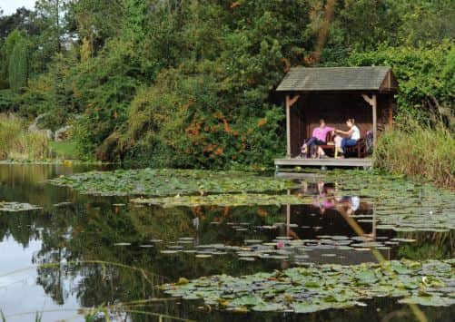 Visitors enjoy the lakes at Burnby Hall. Picture by Gerard Binks.