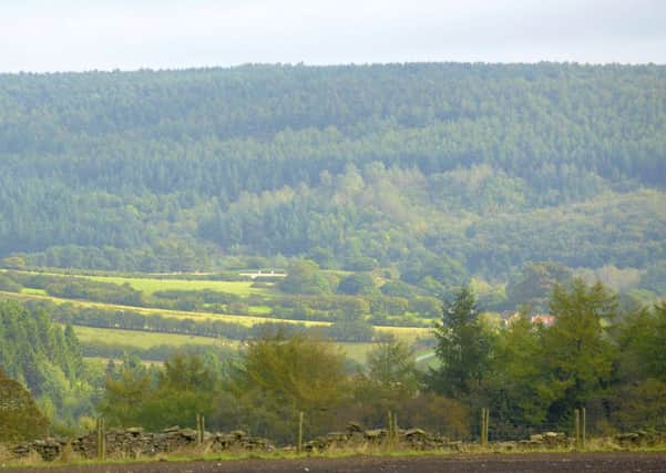 Ebberston Moor between Scarborough and Pickering. Picture: Tony Bartholomew