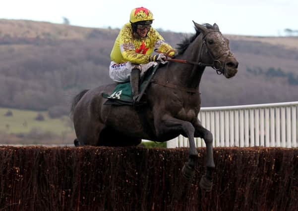 Unioniste ridden by Harry Derham