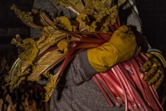 Oldroyds Rhubarb sheds, Carlton