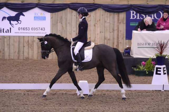 SO CLOSE: Thirteen-year-old Liberty Tyler rides Cyden Oostings Amigo to second place in the Preliminary class at Bishop Burton, just 0.14 per cent off winning.