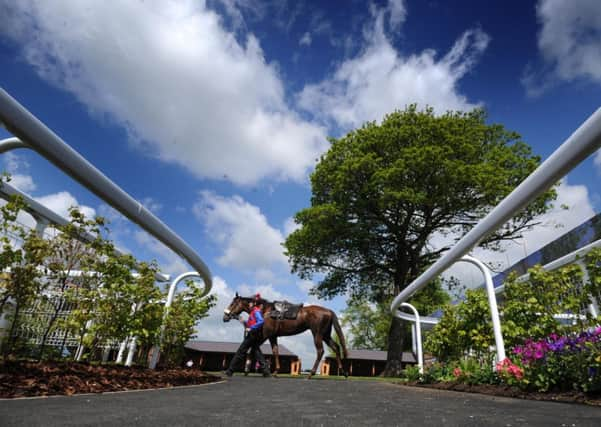 Grand Beauty, trained by Richard Fahey, is led by Sammy-Jo Bell through the new Pre Parade Ring at York Racecourse. Picture by Simon Hulme