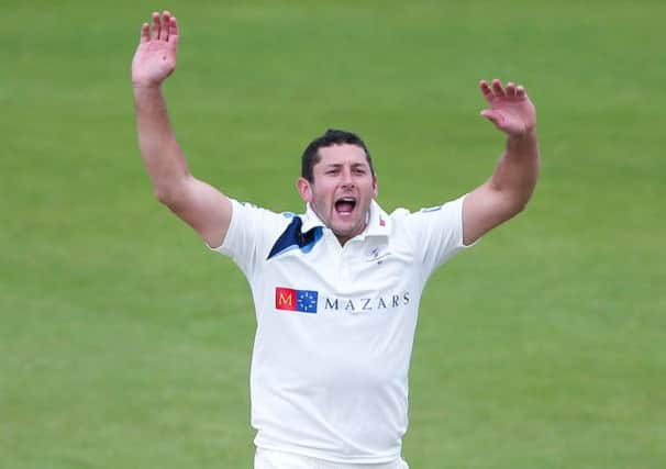 Tim Bresnan.