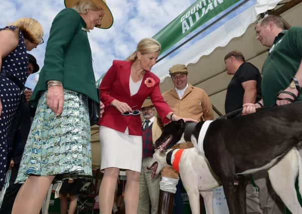 The Countess of Wessex at the show.