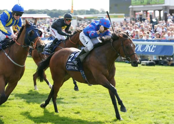 MAGIC MOMENT: Robin Bastimans Borderlescott, ridden by Neil Callan, wins a thrilling Group One Nunthorpe Stakes  at York in 2009, a year after winning it for the first time. Picture: York Racecourse.