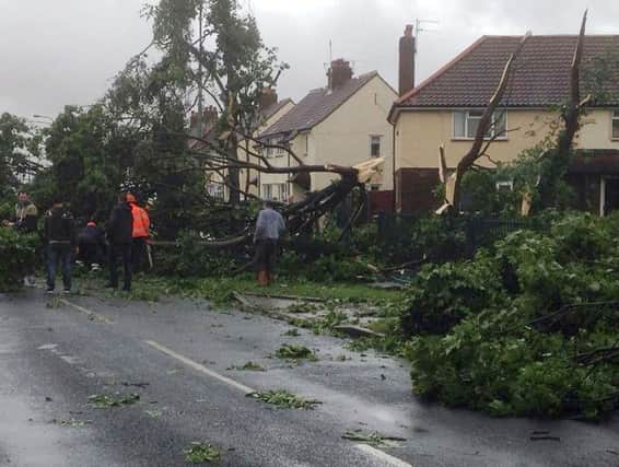 Hopewell Road Hull after it was hit by a 'tornado'