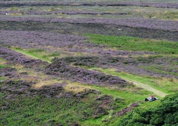 The heather is out in force at this time of year.  Picture: Anna Gowthorpe/PA Wire