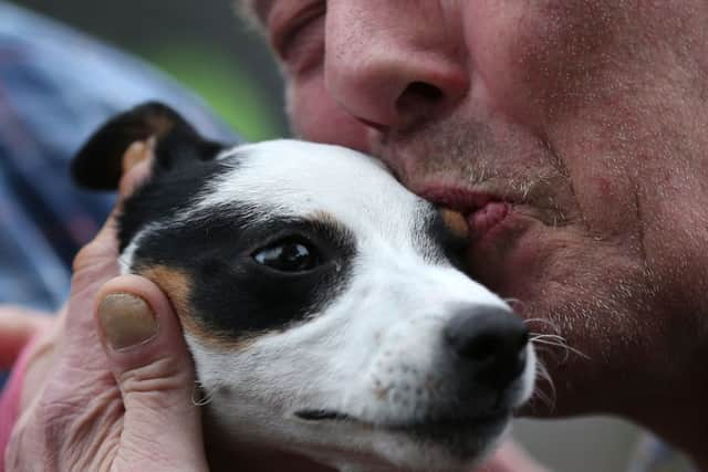 Misty the Jack Russell is fussed over outside Manchester Dogs' Home