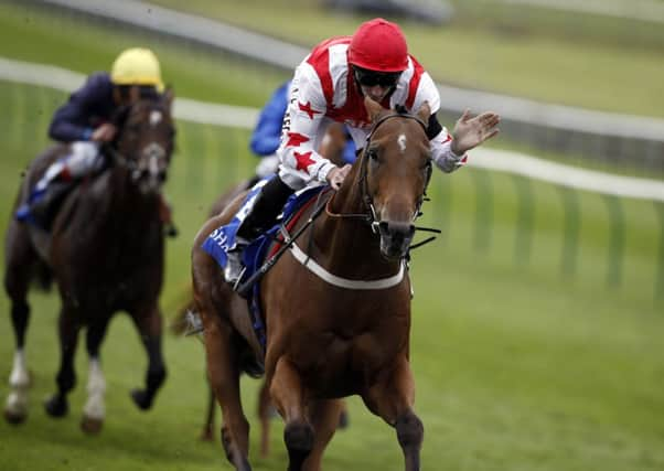 Custom Cut ridden by Daniel Tudhope wins the Shadwell Joel Stakes.