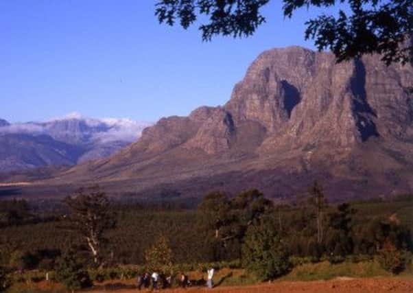 Stylish red from Glenelly Estate in South Africa