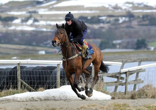 Mr Moonshine - minus jockey Ryan Mania - will carry Yorkshire's hopes in the Betfred Becher Chase at Aintree today.