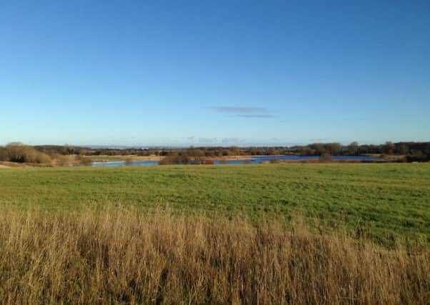 Staveley Nature Reserve.