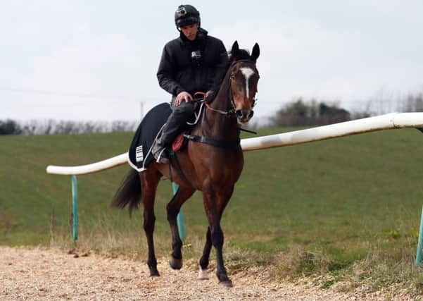 Trainer Michael Scudamore with Monbeg Dude during the stable visit at Eccleswall Court, Ross-on-Wye. (Picture: David Davies/PA Wire)