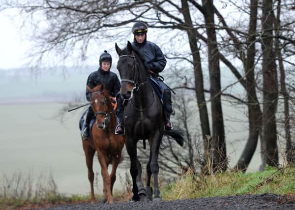 Sprinter Sacre is ridden by Nico de Boinville