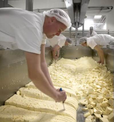 Cheese making at the famous Wensleydale Creamery in Hawes, deep in the Yorkshire Dales. Pictures by Tony Johnson