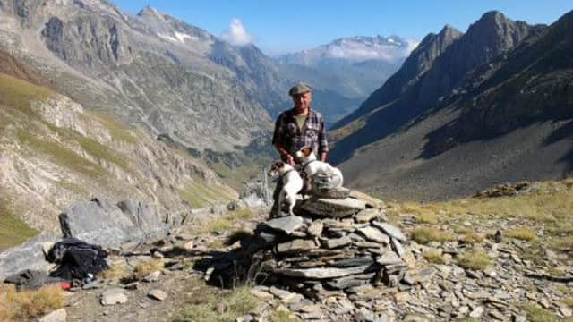 High in the mountains with the high-flying Jack Russells.