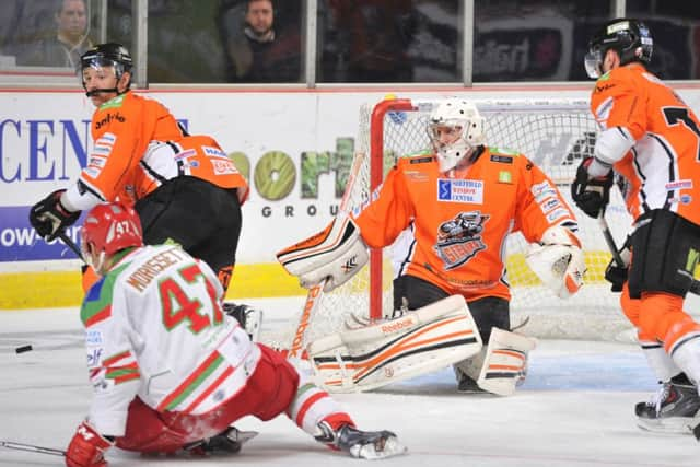 Sheffield Steelers v Cardiff Devils earlier this season.