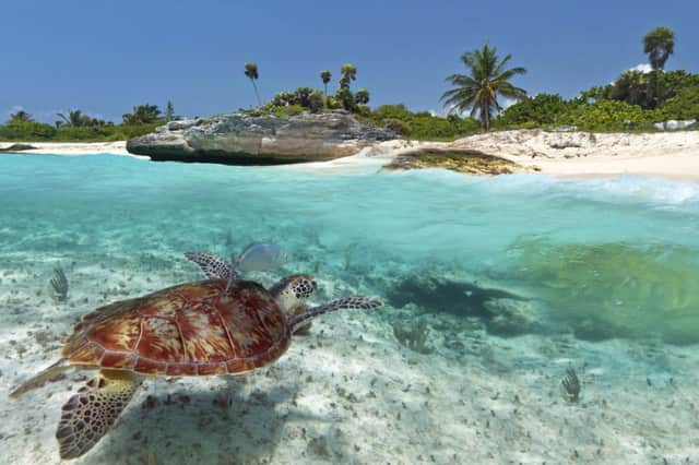 Playa del Carmen.