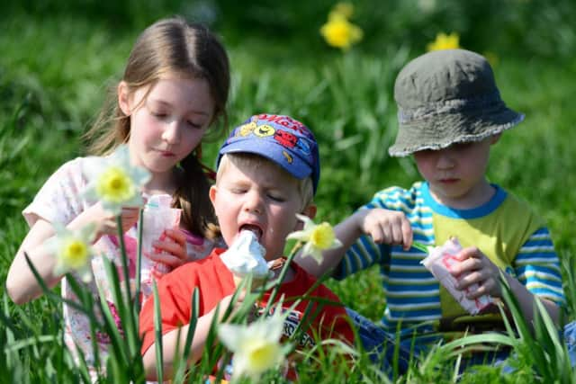 Enjoying the sunshine at Temple Newsam, Leeds: Ellie and Jack  Atkinson with Harry Douglas, age two.