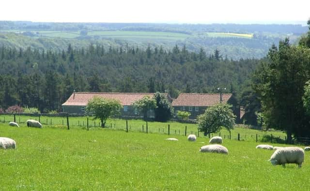 Cropton Forest Lodge