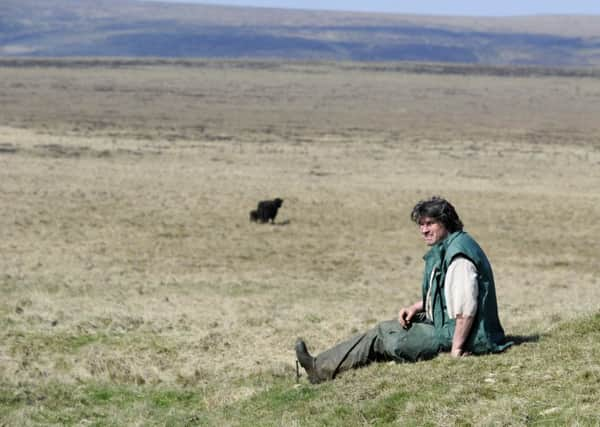 Bo Scholefield on Wainstalls Moor.  In the summer, purple heather brings a riot of colour.  Pic: Bruce Rollinson.