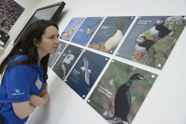 Jo Allen the 
Wildlife Experience Officer at RSPB Bempton.