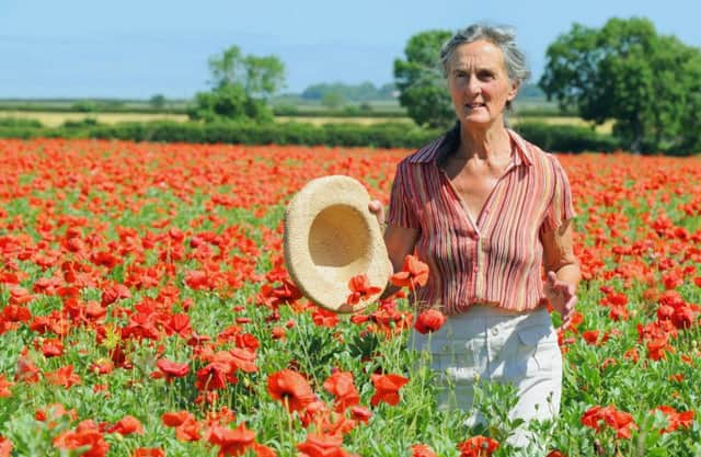 Judy Coleman walking amongst the wild poppies at Westfield Farm, Burton Fleming. (GL1006/34d)