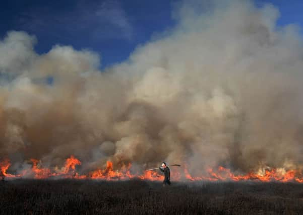 Heather burning on the moors between Pateley Bridge and Kirkby Malzeard.