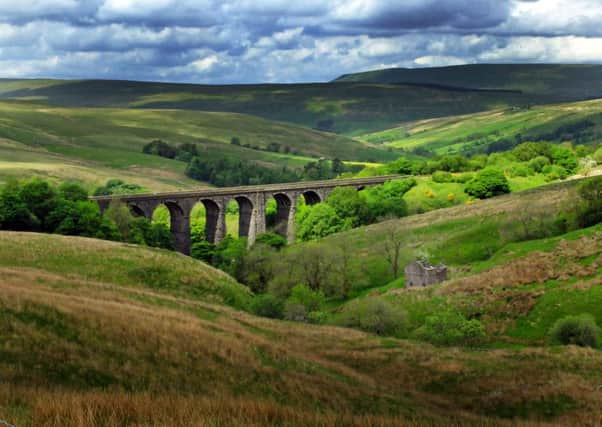 Viaducts provide birds with high-rise nesting sites in spring. Picture: Tony Johnson.