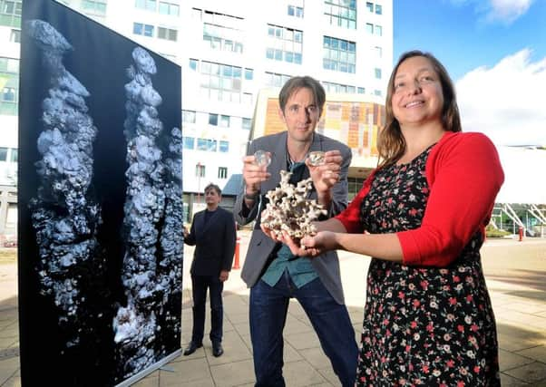 Biologists Dr Jon Copley, next to life-size Antarctic deep sea vent, Dr Adrian Glover, holding a deep sea vent Shrimp and Hoff Crab, and Dr Kerry Howell, holding a Lophelia Pertusa or a section of cold-water coral.

Picture: James Hardisty