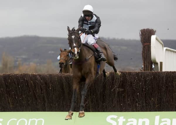 Village Vic and Richard Johnson clear the last before going on to win the Caspian Caviar Gold Cup at Cheltenham (Picture: PA).