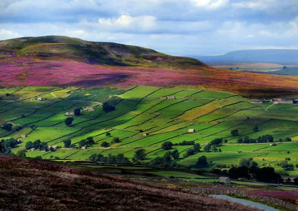 Whipperdale Bank in North Yorkshire, one of the natural landscapes that needs protecting in 2016. Picture: James Hardisty.